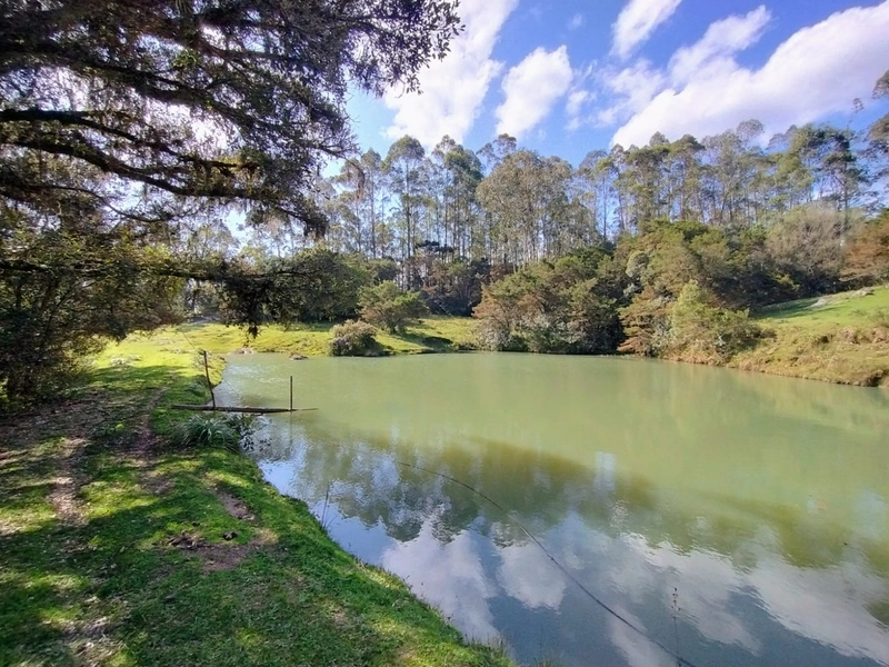 Chácara 11ha.: 12ª foto da galeria de imagens do imóvel