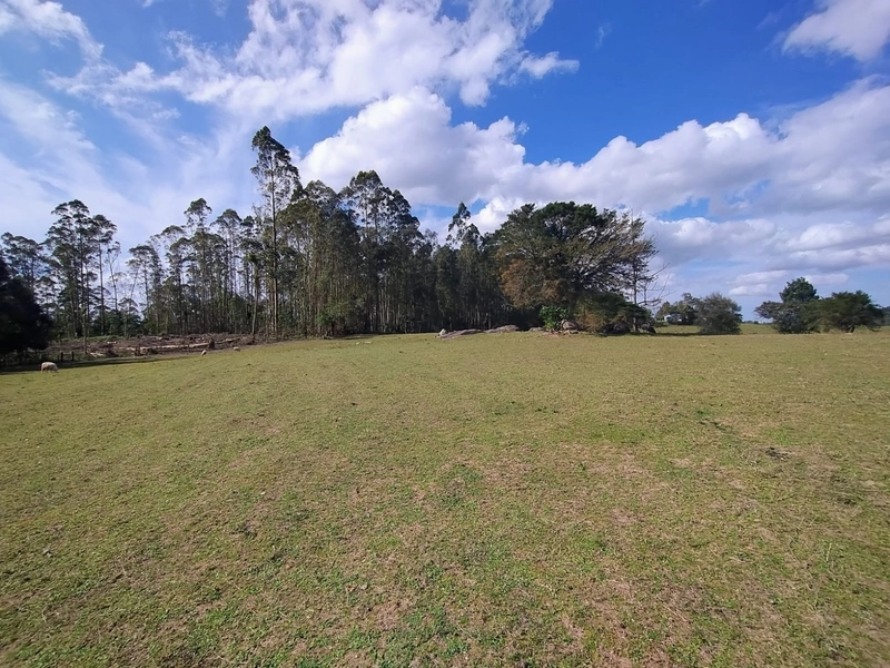 Chácara 11ha.: 21ª foto da galeria de imagens do imóvel