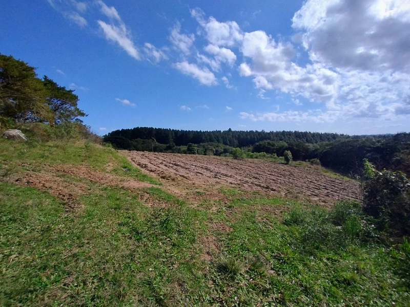 Chácara 11ha.: 8ª foto da galeria de imagens do imóvel
