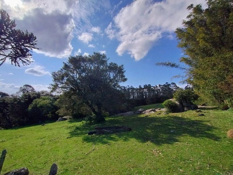 Chácara 11ha.: 9ª foto da galeria de imagens do imóvel