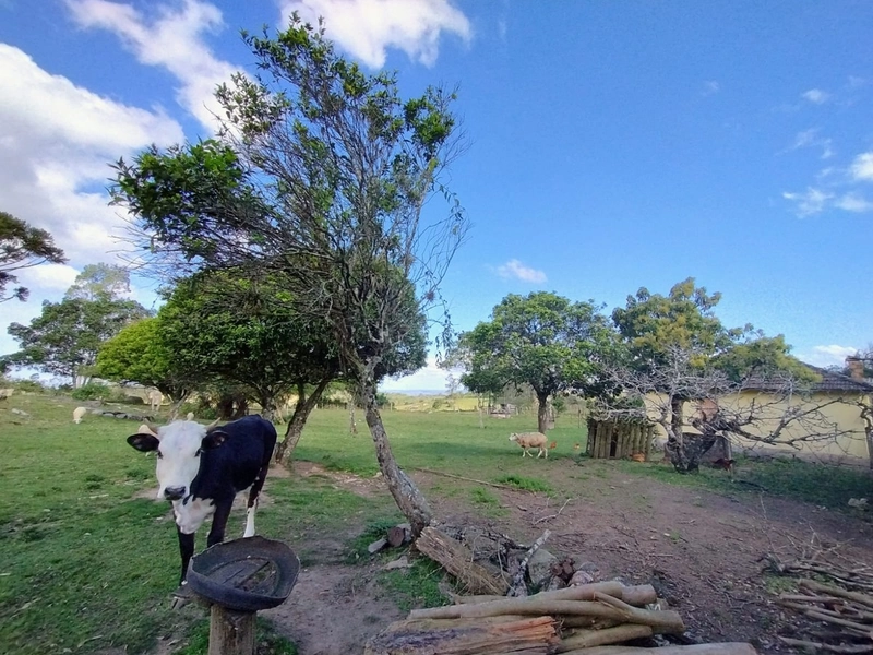 Chácara 11ha.: 22ª foto da galeria de imagens do imóvel