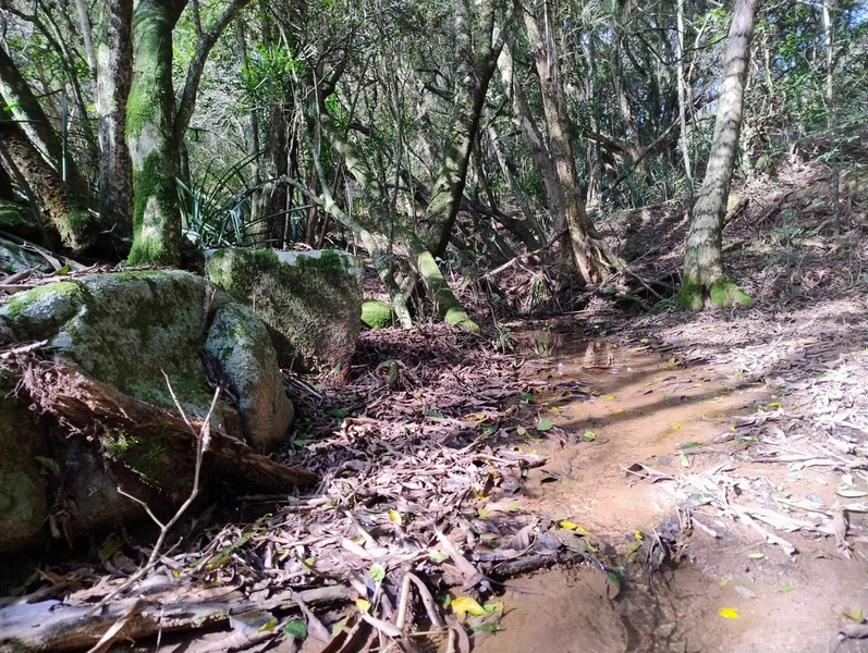Chácara 11ha.: 6ª foto da galeria de imagens do imóvel