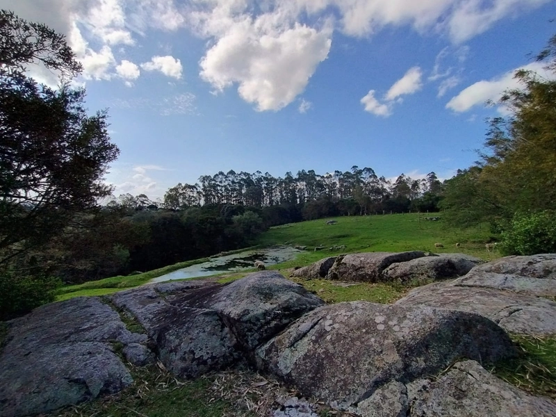 Chácara 11ha.: 10ª foto da galeria de imagens do imóvel