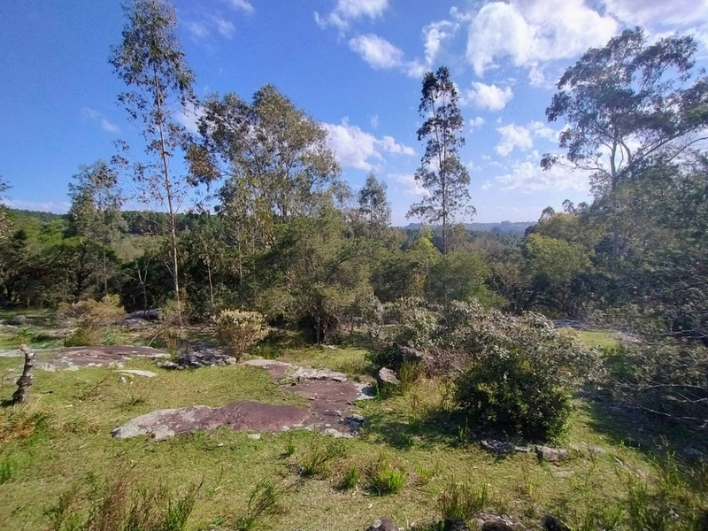 Chácara 11ha.: 11ª foto da galeria de imagens do imóvel