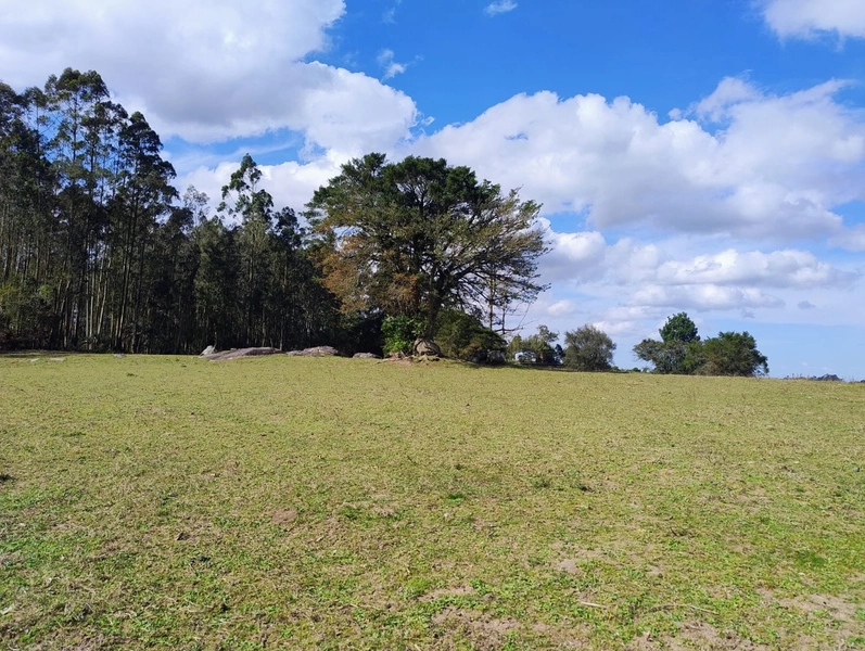 Chácara 11ha.: 20ª foto da galeria de imagens do imóvel
