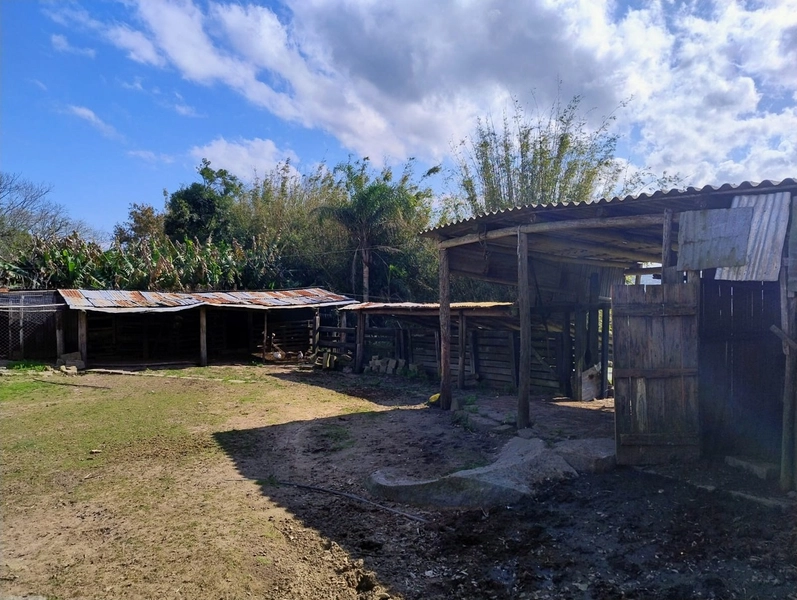 Chácara 11ha.: 16ª foto da galeria de imagens do imóvel