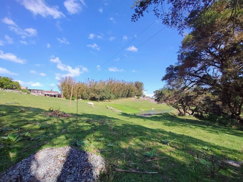 Chácara 11ha.: 13ª foto da galeria de imagens do imóvel