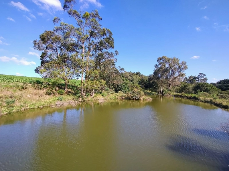 Chácara 11ha.: 5ª foto da galeria de imagens do imóvel