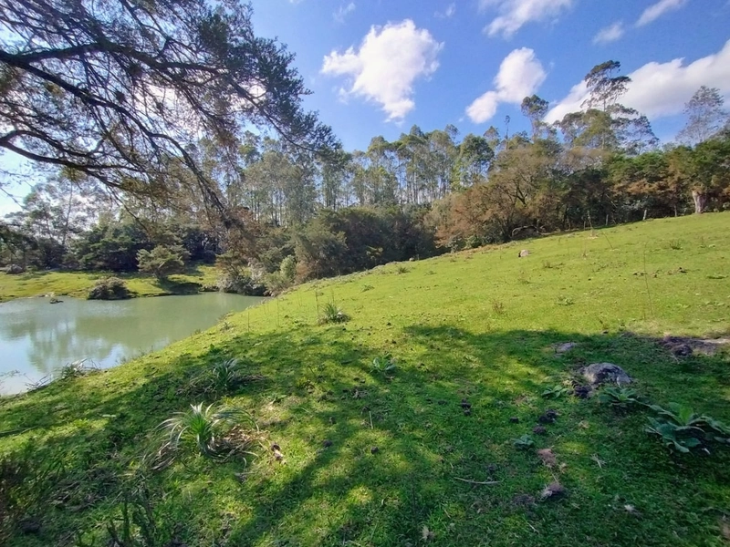 Chácara 11ha.: 14ª foto da galeria de imagens do imóvel