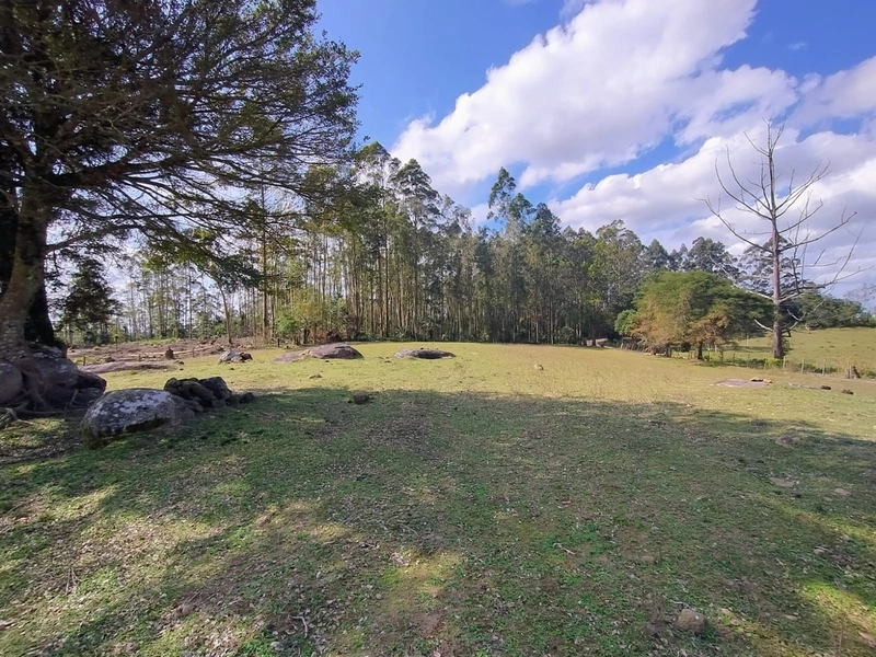 Chácara 11ha.: 19ª foto da galeria de imagens do imóvel