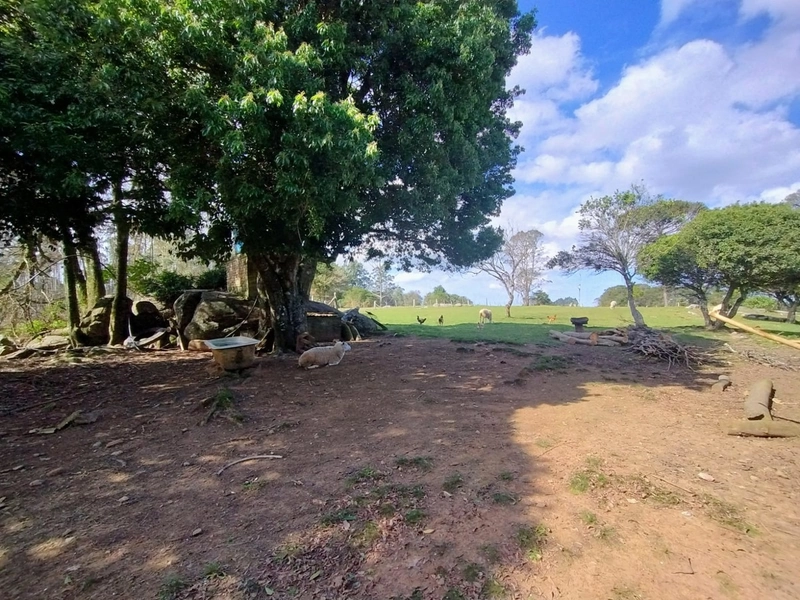 Chácara 11ha.: 23ª foto da galeria de imagens do imóvel