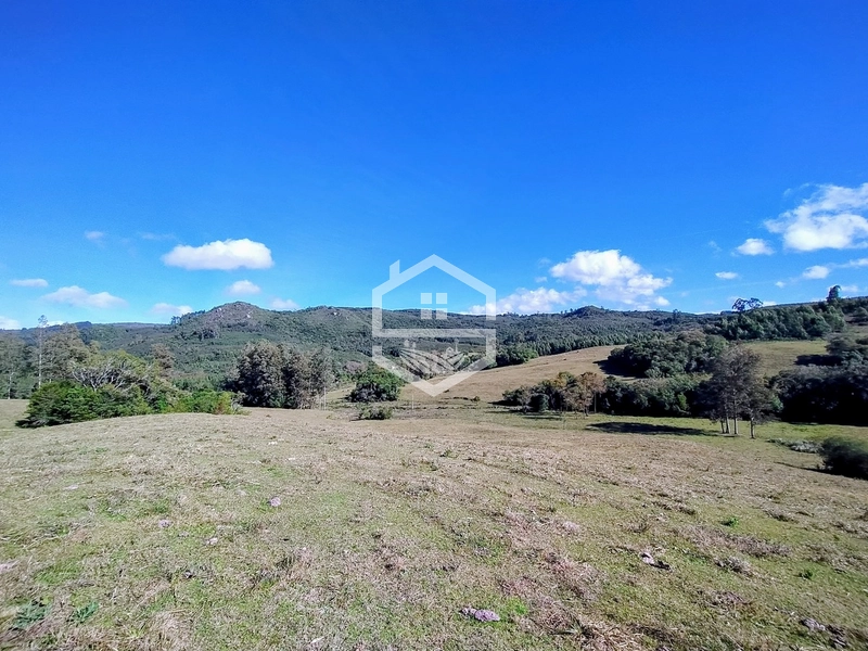 36,7ha no interior de Dom Feliciano.: 5ª foto da galeria de imagens do imóvel