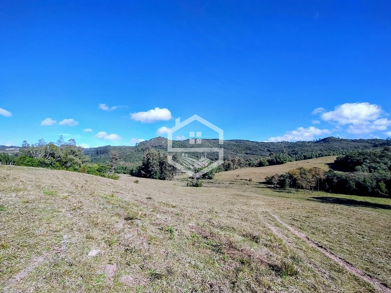 36,7ha no interior de Dom Feliciano.: 4ª foto da galeria de imagens do imóvel