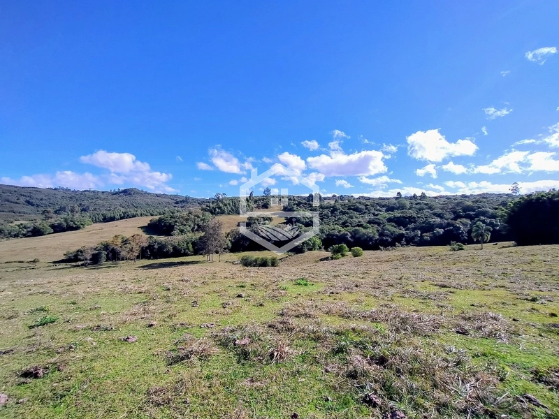 36,7ha no interior de Dom Feliciano.: 9ª foto da galeria de imagens do imóvel