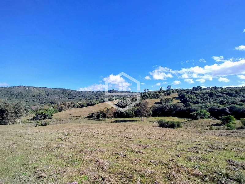 36,7ha no interior de Dom Feliciano.: 6ª foto da galeria de imagens do imóvel