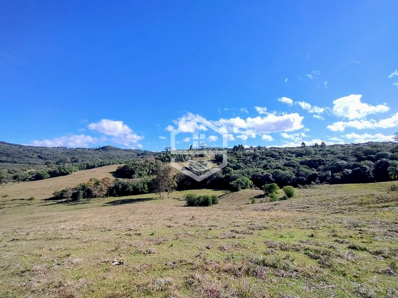 36,7ha no interior de Dom Feliciano.: 7ª foto da galeria de imagens do imóvel