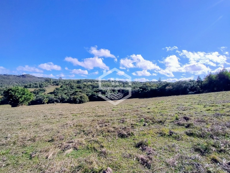 36,7ha no interior de Dom Feliciano.: 2ª foto da galeria de imagens do imóvel