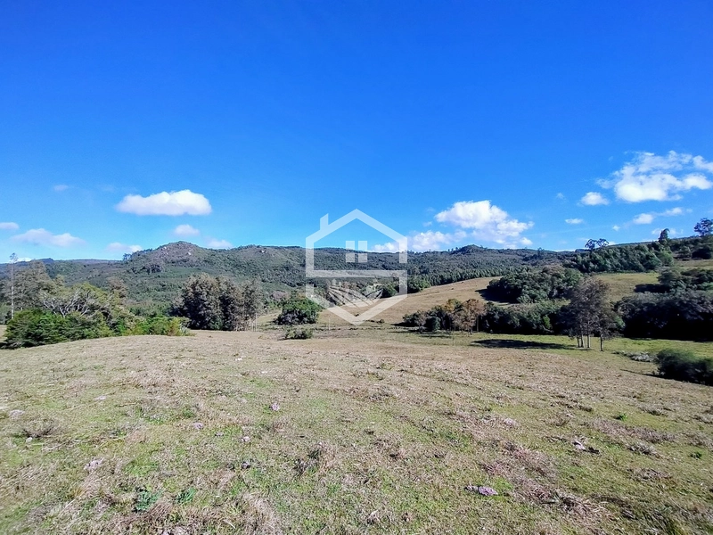 36,7ha no interior de Dom Feliciano.: 8ª foto da galeria de imagens do imóvel