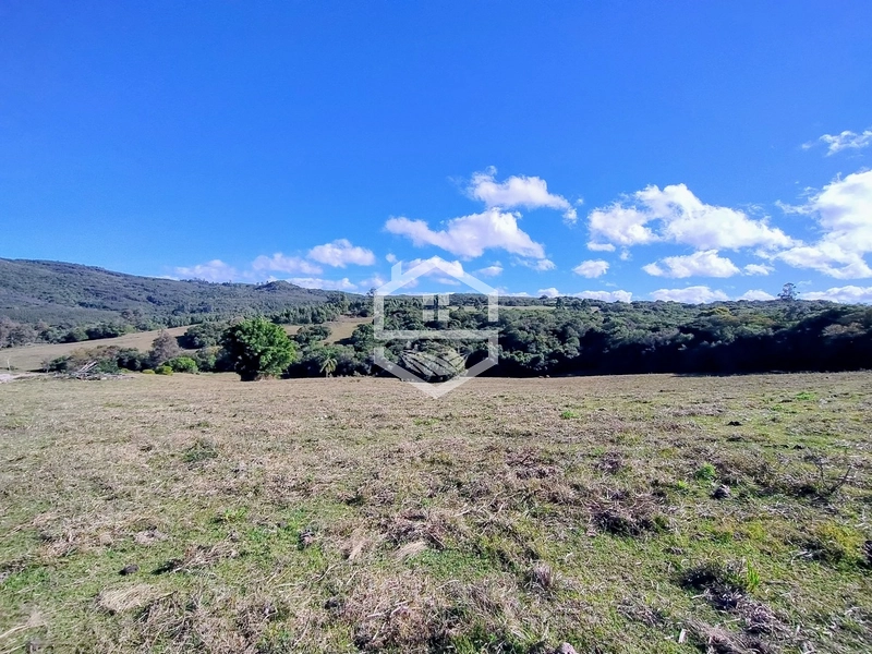 36,7ha no interior de Dom Feliciano.: 3ª foto da galeria de imagens do imóvel