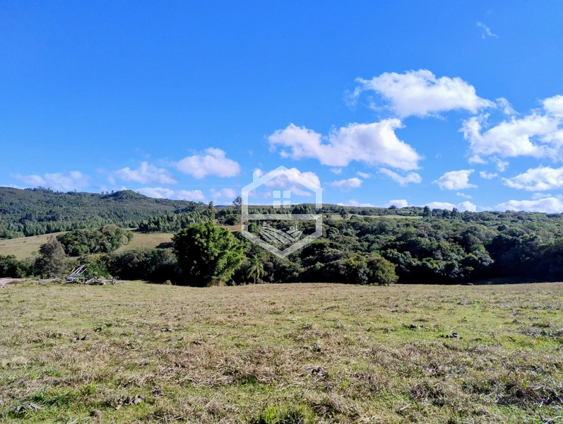 36,7ha no interior de Dom Feliciano.: 1ª foto da galeria de imagens do imóvel