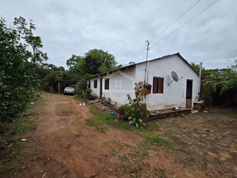  SÍTIO À VENDA | 3 HECTARES | 18 KM DE CAMAQUÃ: 5ª foto da galeria de imagens do imóvel