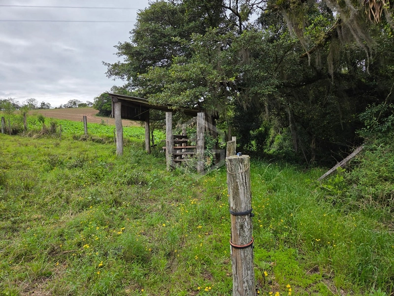  SÍTIO À VENDA | 3 HECTARES | 18 KM DE CAMAQUÃ: 3ª foto da galeria de imagens do imóvel