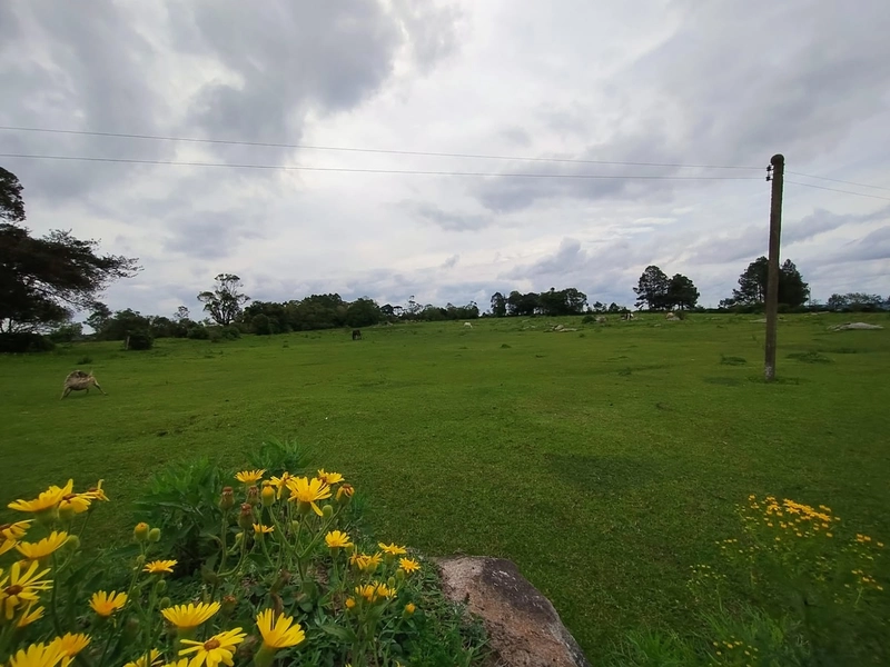 16,68ha em Santa Isabel.: 8ª foto da galeria de imagens do imóvel