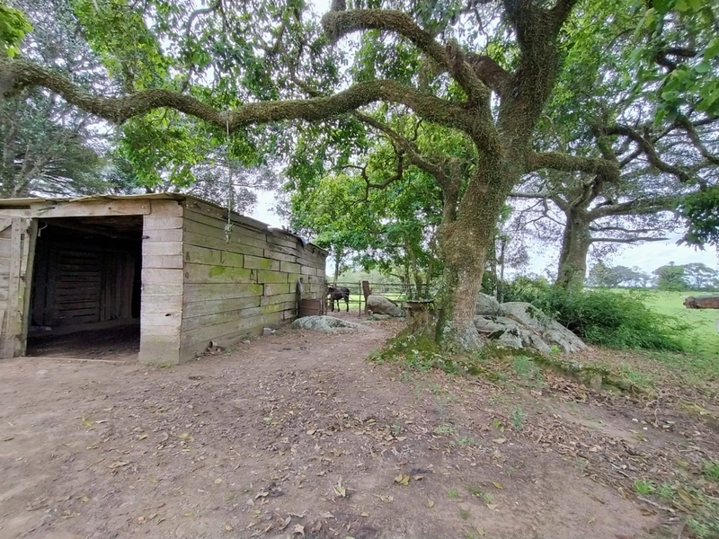16,68ha em Santa Isabel.: 1ª foto da galeria de imagens do imóvel
