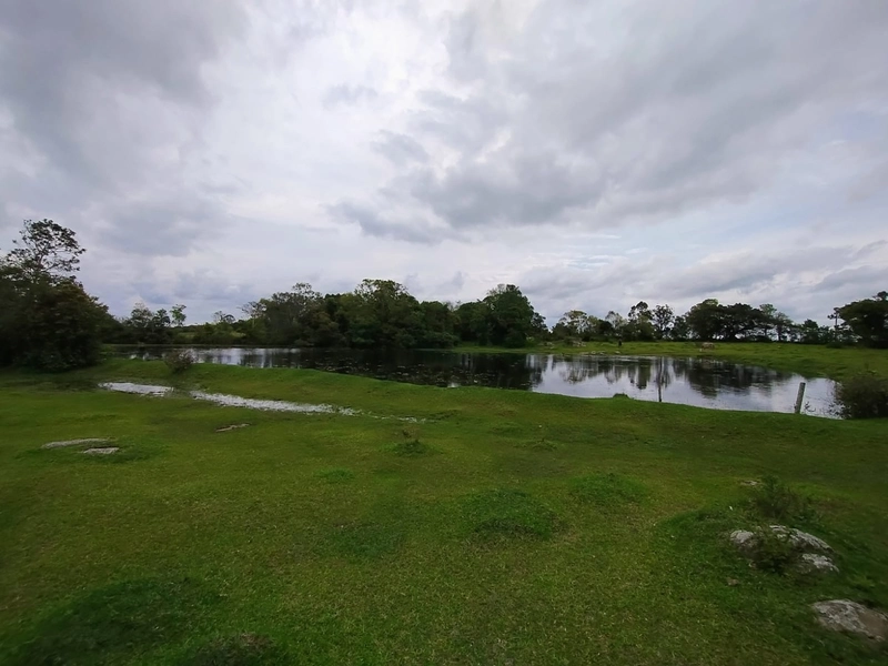 16,68ha em Santa Isabel.: 6ª foto da galeria de imagens do imóvel