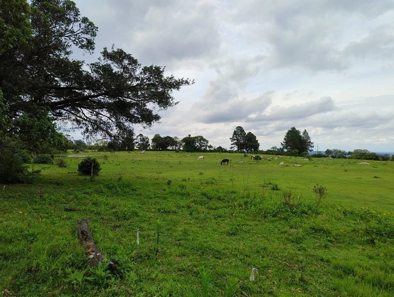 16,68ha em Santa Isabel.: 2ª foto da galeria de imagens do imóvel