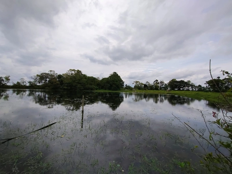 16,68ha em Santa Isabel.: 7ª foto da galeria de imagens do imóvel