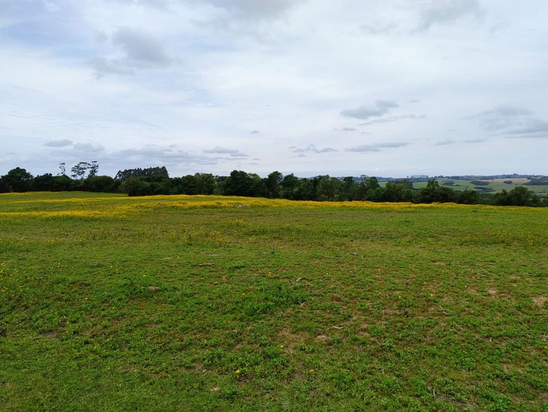 16,68ha em Santa Isabel.: 10ª foto da galeria de imagens do imóvel