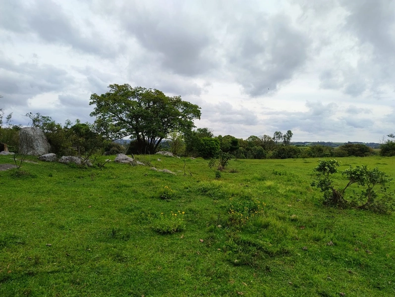 16,68ha em Santa Isabel.: 5ª foto da galeria de imagens do imóvel