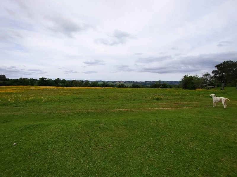 16,68ha em Santa Isabel.: 9ª foto da galeria de imagens do imóvel