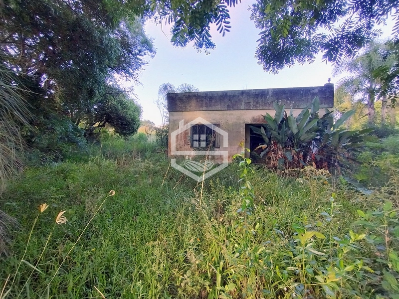 0,7ha no Interior de Camaquã.: 1ª foto da galeria de imagens do imóvel