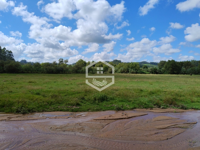 null: 14ª foto da galeria de imagens do imóvel