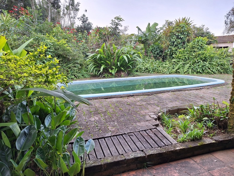 18ha as Margens da BR-116.: 12ª foto da galeria de imagens do imóvel