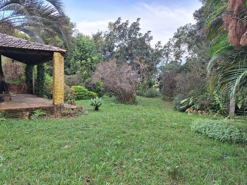 18ha as Margens da BR-116.: 11ª foto da galeria de imagens do imóvel