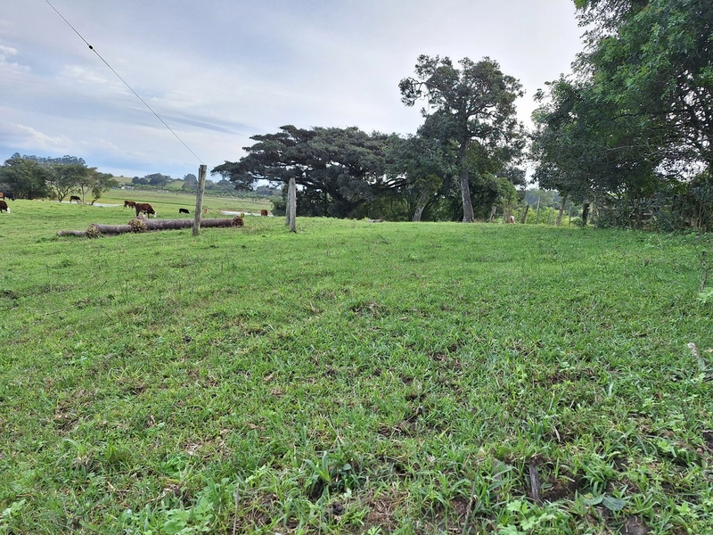 18ha as Margens da BR-116.: 5ª foto da galeria de imagens do imóvel