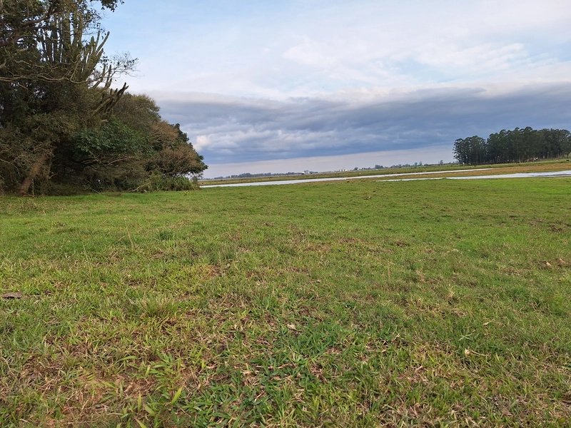 18ha as Margens da BR-116.: 3ª foto da galeria de imagens do imóvel