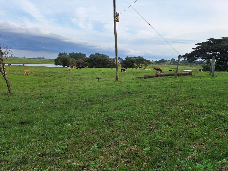 18ha as Margens da BR-116.: 6ª foto da galeria de imagens do imóvel