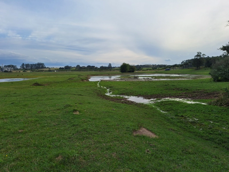 18ha as Margens da BR-116.: 7ª foto da galeria de imagens do imóvel