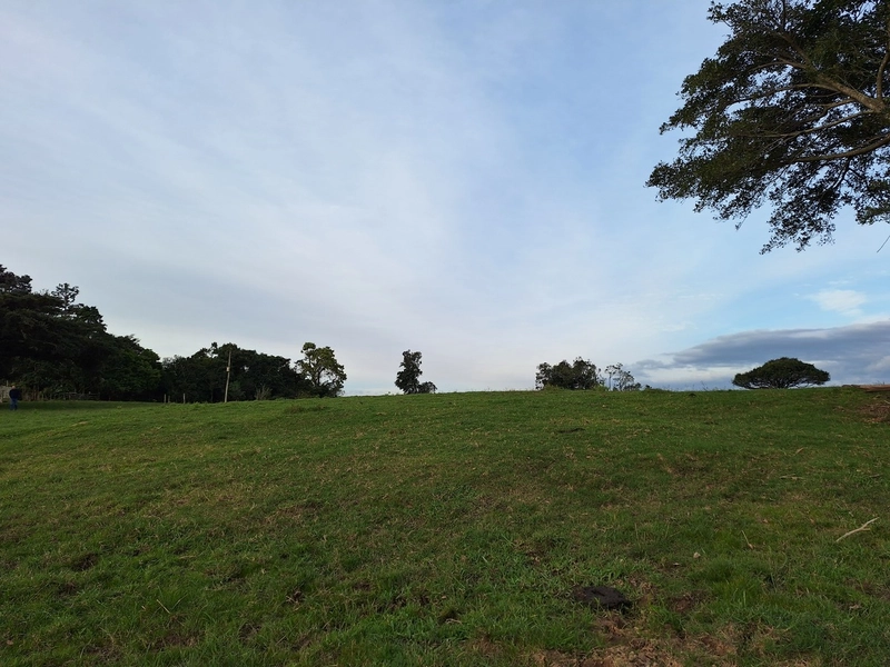 18ha as Margens da BR-116.: 8ª foto da galeria de imagens do imóvel