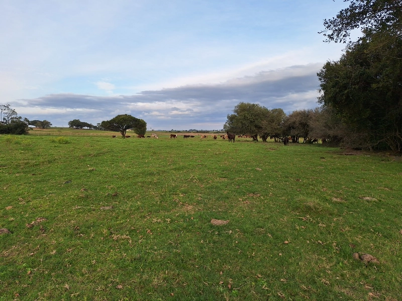 18ha as Margens da BR-116.: 9ª foto da galeria de imagens do imóvel