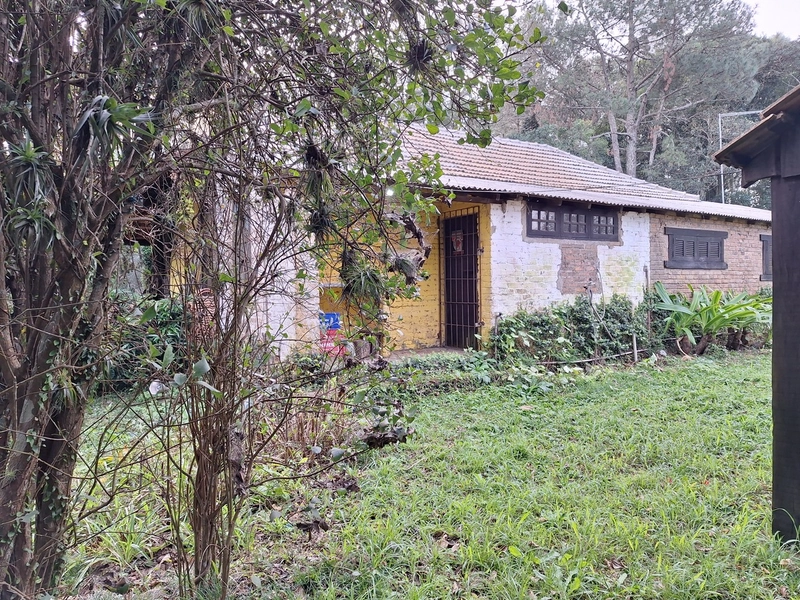 18ha as Margens da BR-116.: 13ª foto da galeria de imagens do imóvel