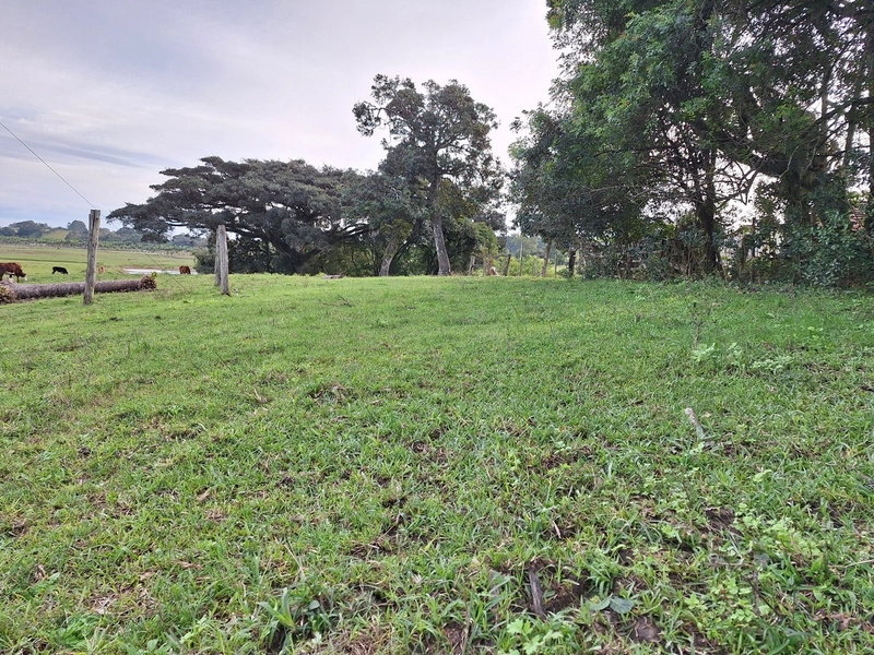 18ha as Margens da BR-116.: 4ª foto da galeria de imagens do imóvel