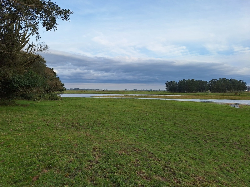 18ha as Margens da BR-116.: 1ª foto da galeria de imagens do imóvel