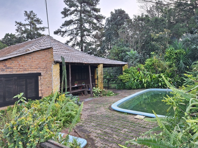 18ha as Margens da BR-116.: 14ª foto da galeria de imagens do imóvel