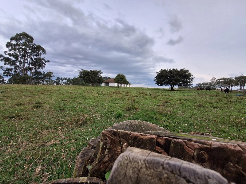 02ha com Estrutura para Eventos ou empresas.: 1ª foto da galeria de imagens do imóvel