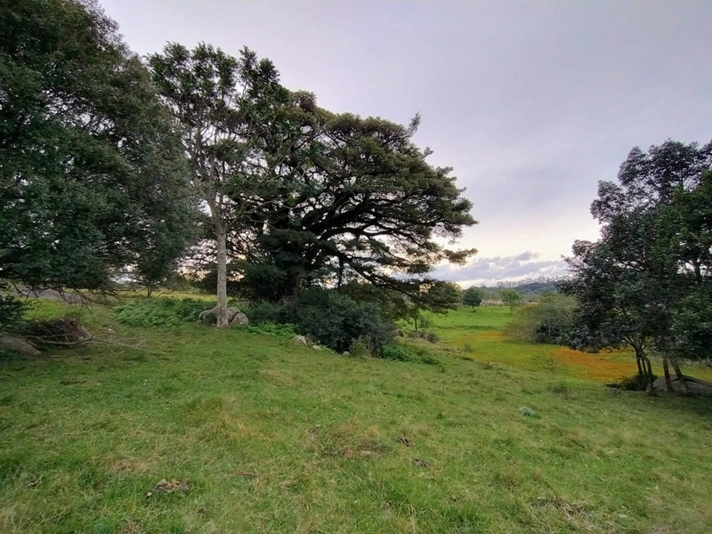 02ha com Estrutura para Eventos ou empresas.: 5ª foto da galeria de imagens do imóvel